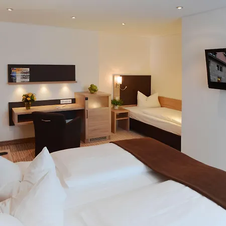 Отель Ringhotel Loew's Merkur 4*